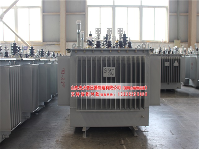 济南S22-4000KVA油浸式变压器
